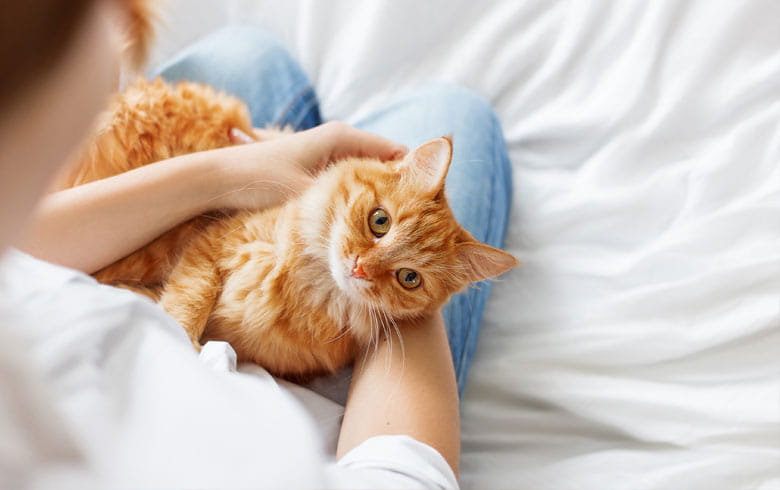 Three Ways to Get a Quote