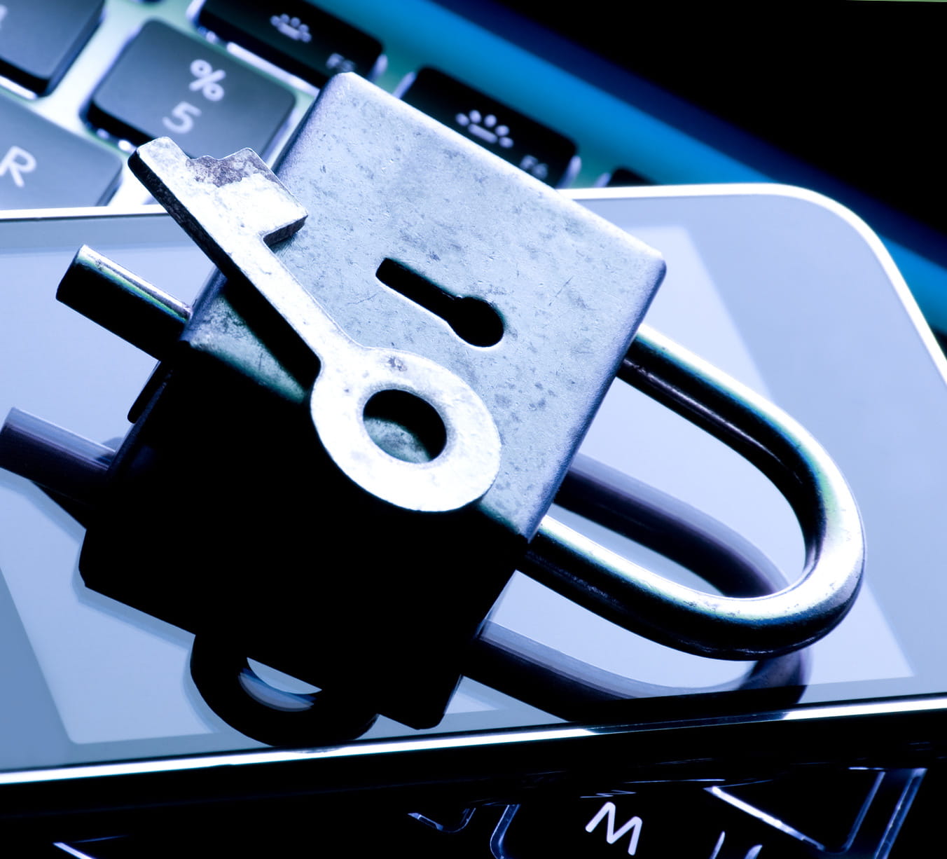 Report Fraud Right Away