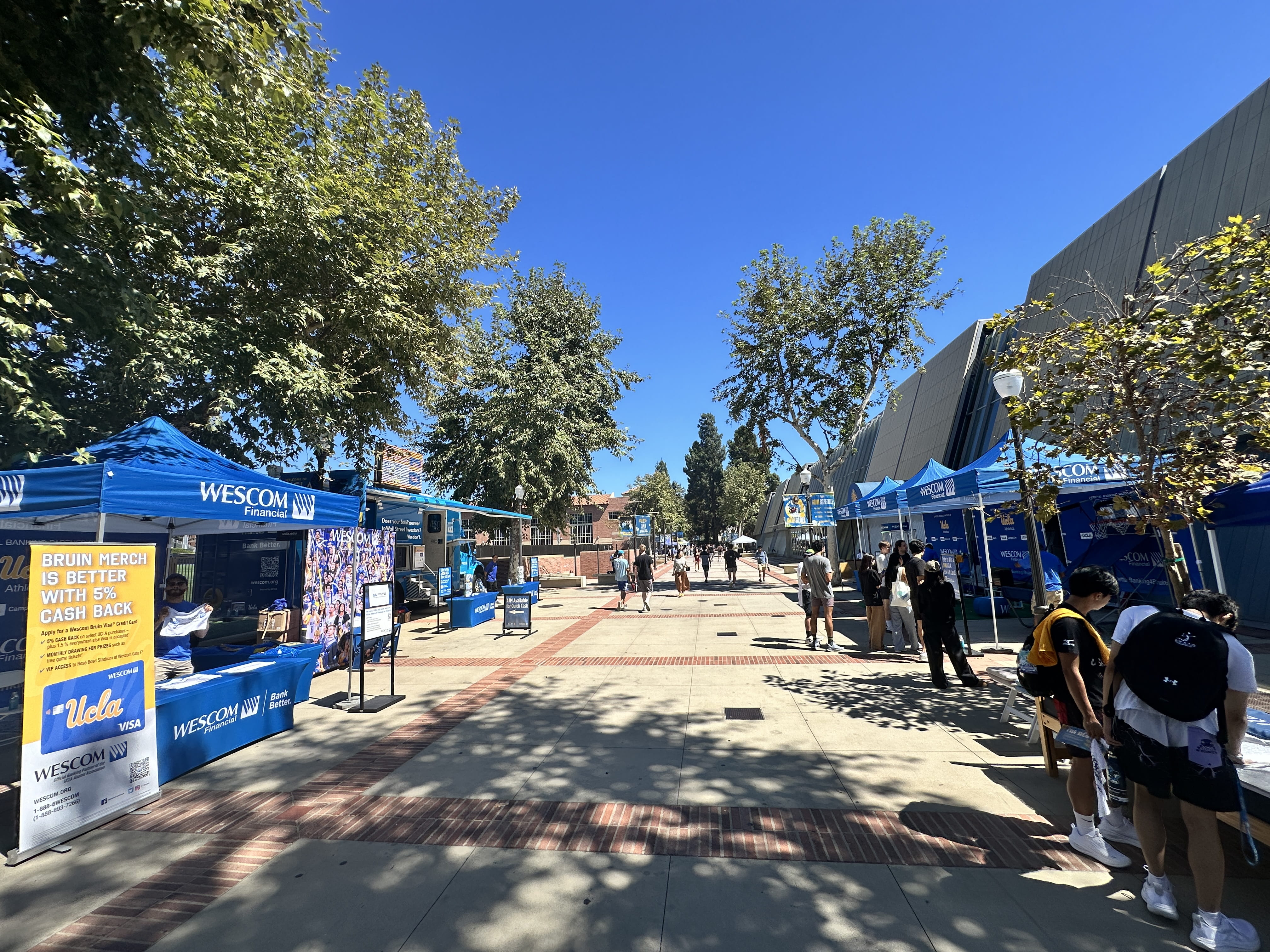 Better Banking for Bruins