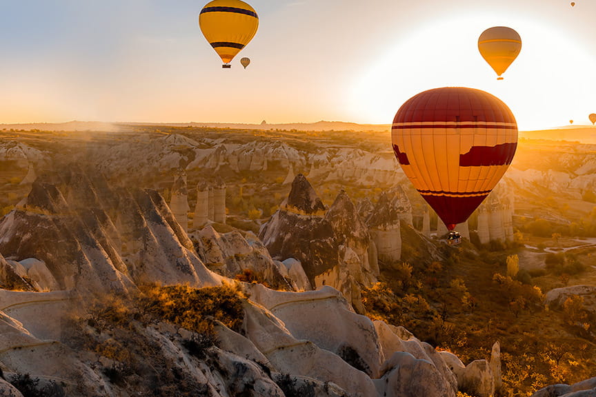 Open a Share Certificate